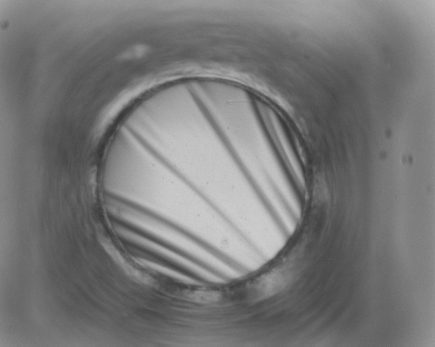 X0000081491503200701262040