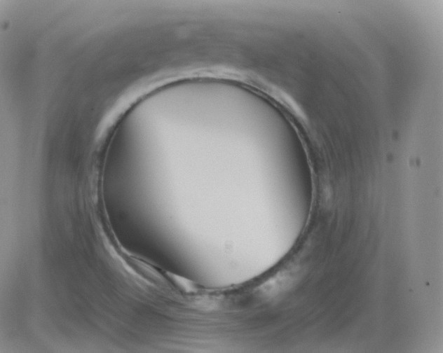 X0000081491504200701262040