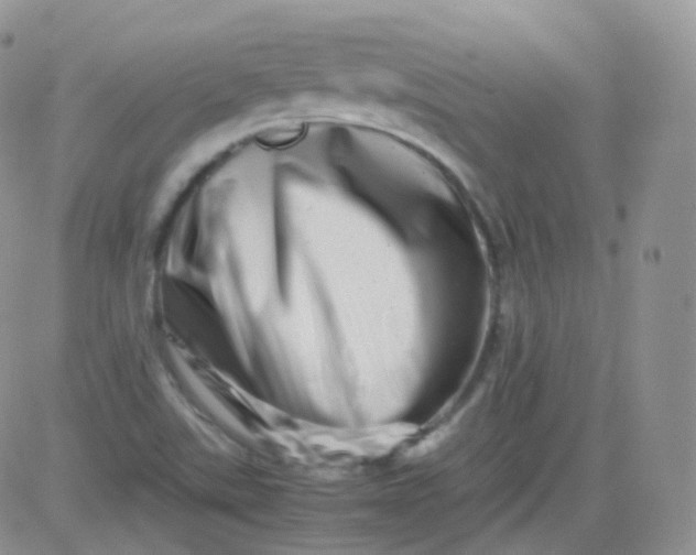 X0000081491507200701262040