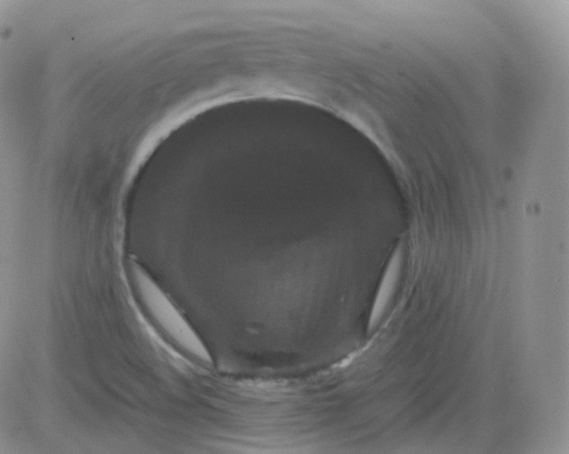 X0000081491508200701262040