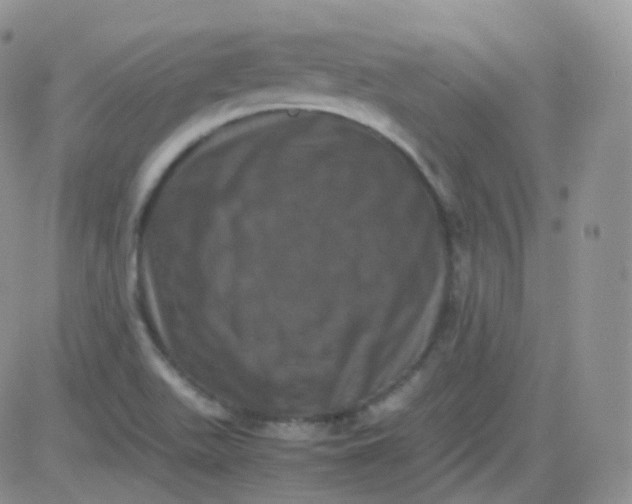 X0000081491511200701262040