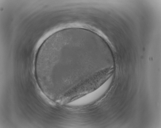 X0000081491512200701262041