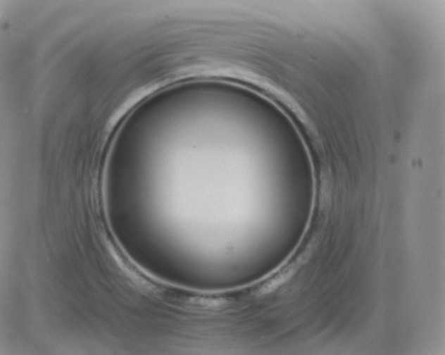 X0000081491513200701262041