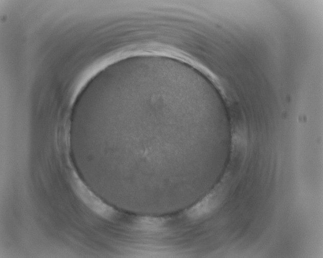 X0000081491514200701262041