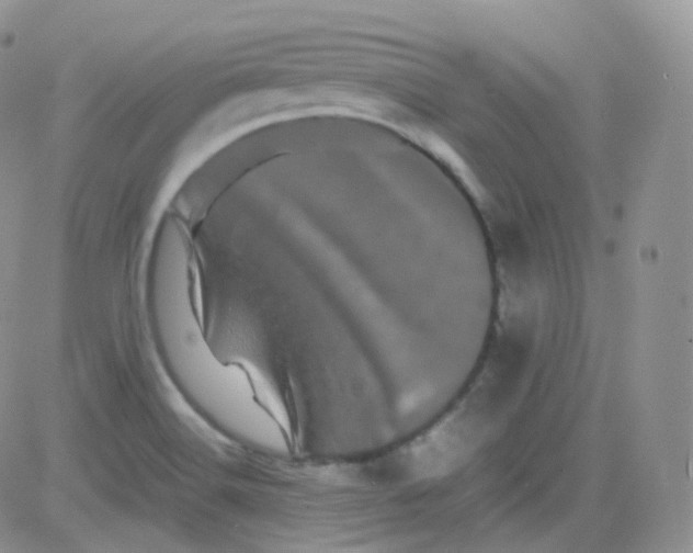 X0000081491516200701262041