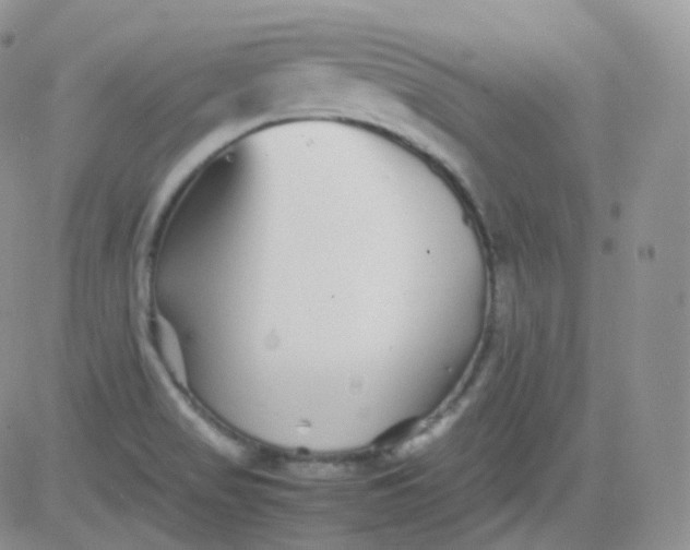 X0000081491517200701262041