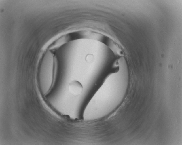 X0000081491518200701262041