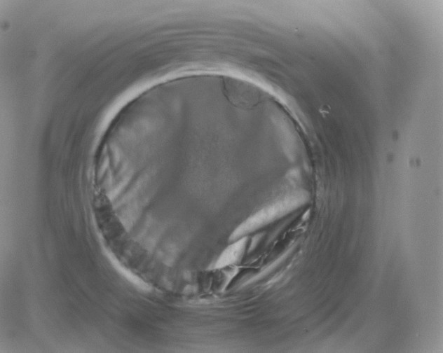 X0000081491519200701262041