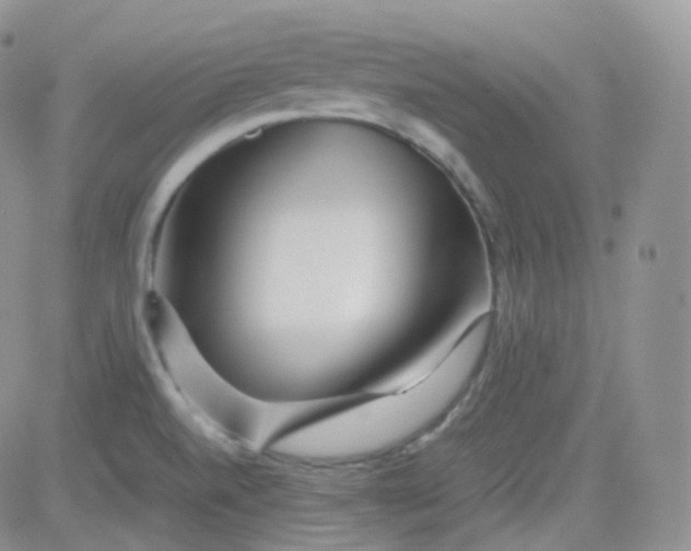 X0000081491520200701262041