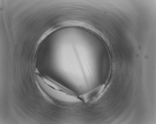 X0000081491521200701262041