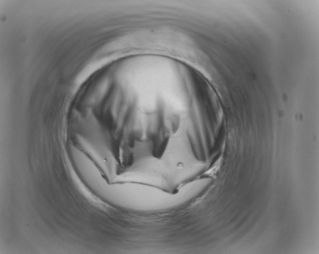 X0000081491523200701262041