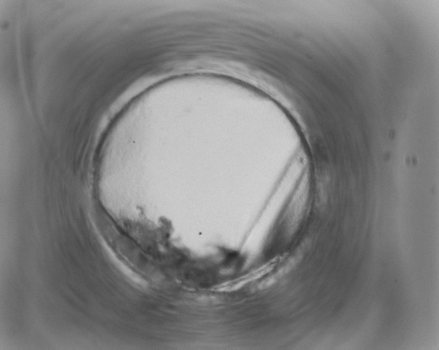 X0000081491525200701262041