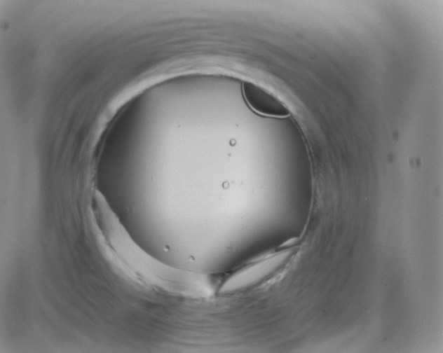 X0000081491526200701262041