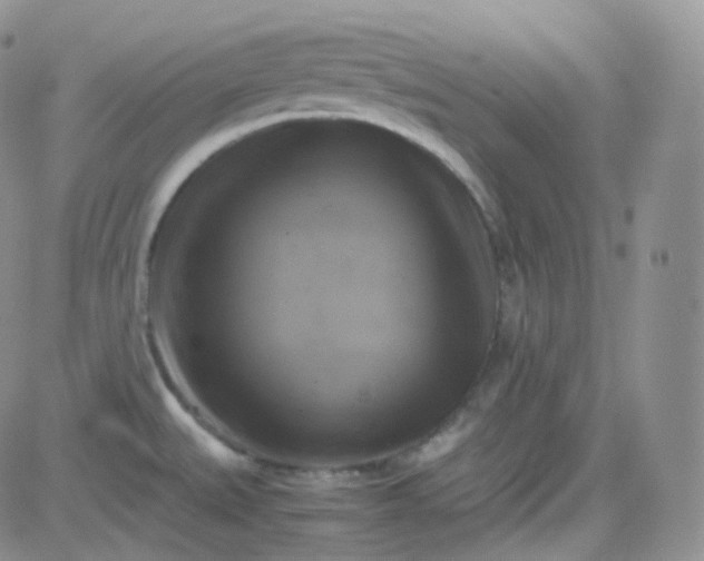 X0000081491527200701262041