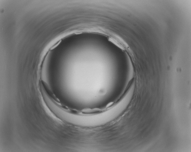 X0000081491528200701262041