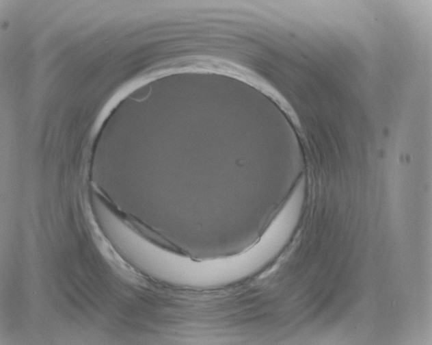 X0000081491530200701262041