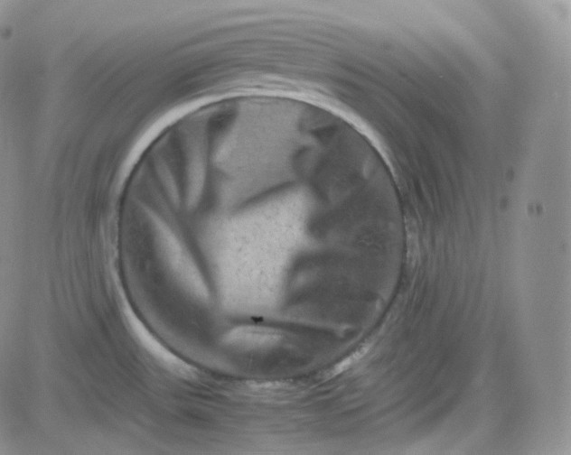 X0000081491531200701262041