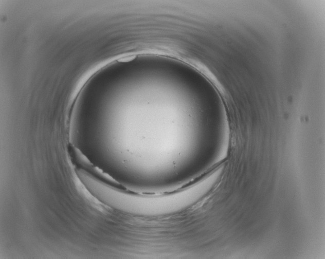 X0000081491532200701262041