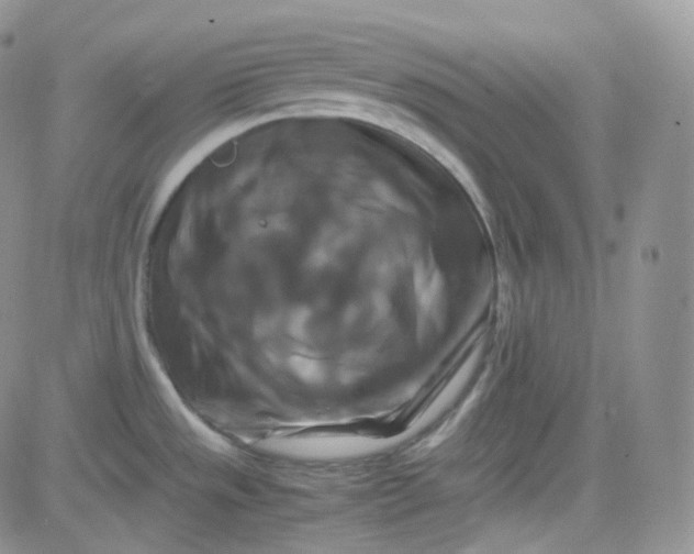 X0000081491533200701262041