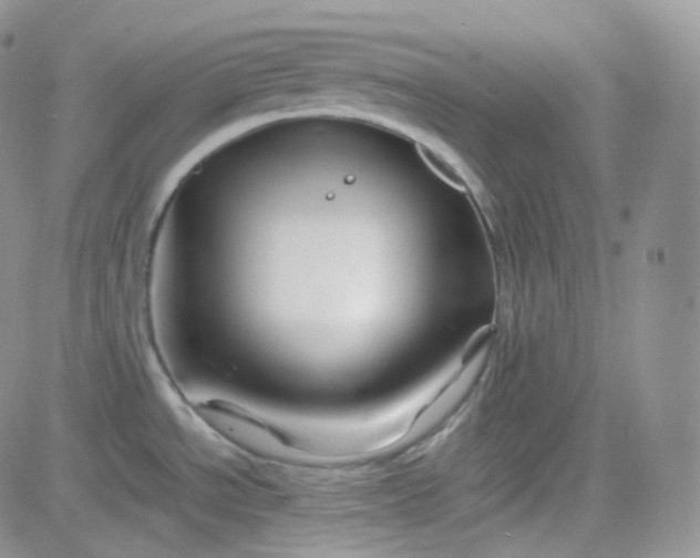 X0000081491534200701262041