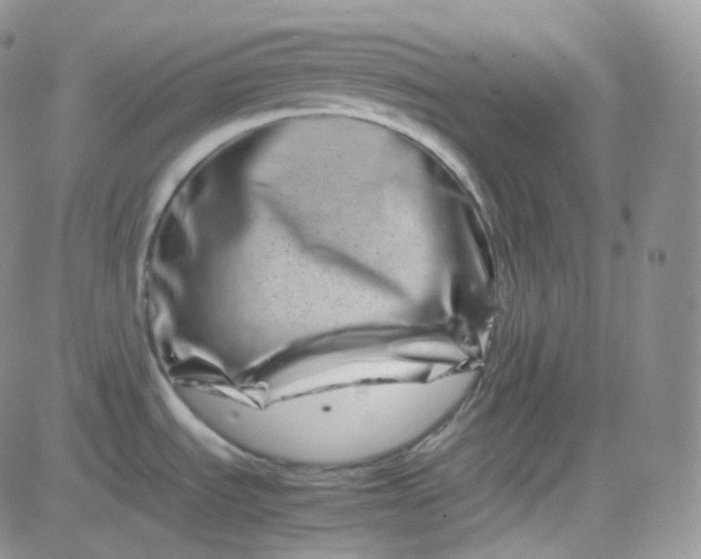 X0000081491535200701262041