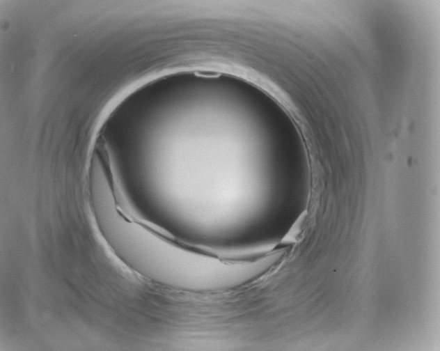 X0000081491536200701262041