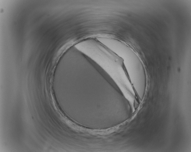 X0000081490001200702021934