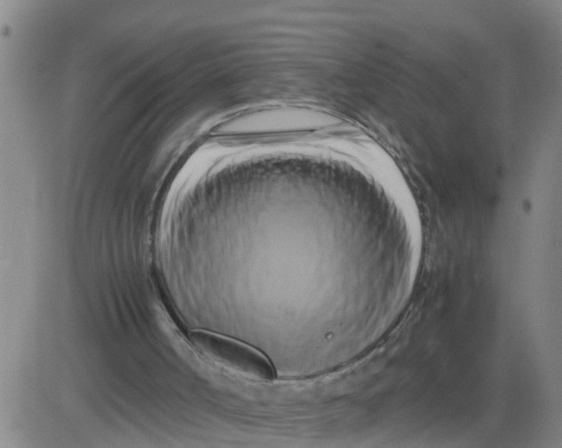 X0000081490002200702021934