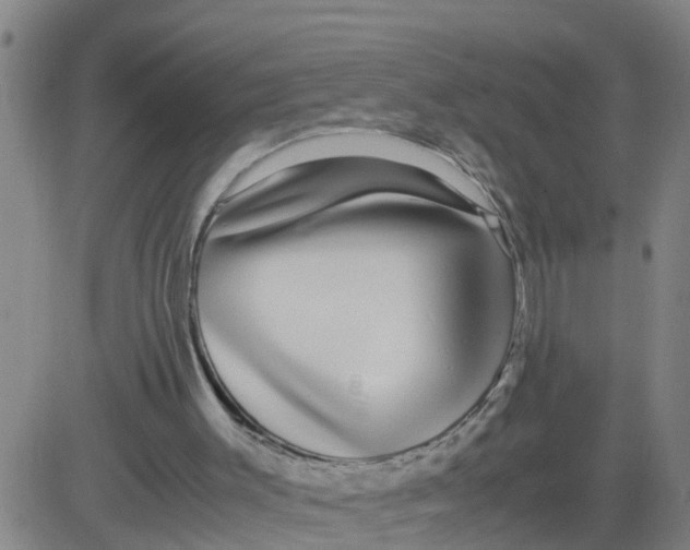 X0000081490003200702021934