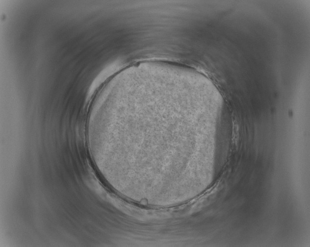 X0000081490004200702021934