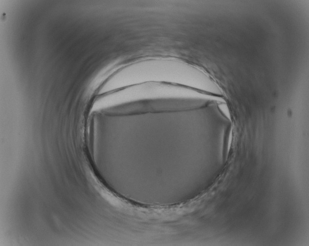 X0000081490005200702021934