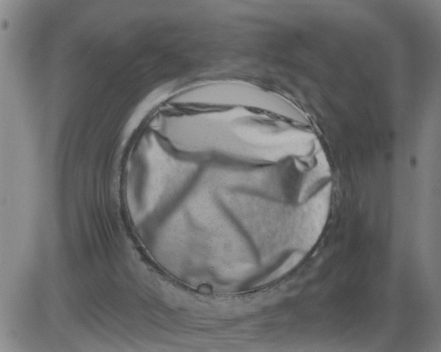 X0000081490006200702021934