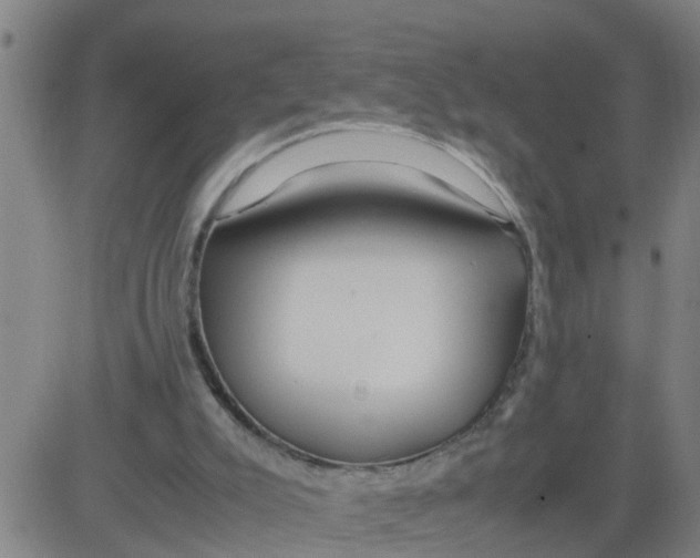 X0000081490007200702021934