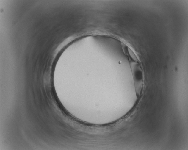 X0000081490008200702021934