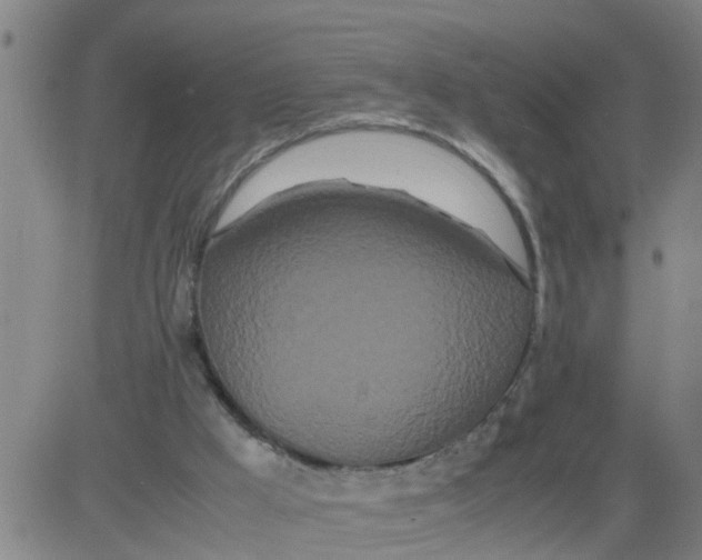 X0000081490009200702021934