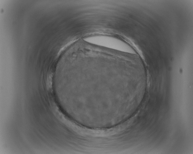 X0000081490010200702021934