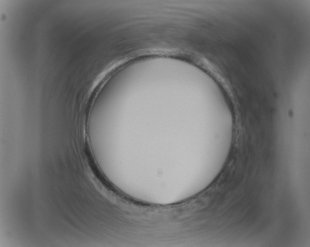 X0000081490011200702021934