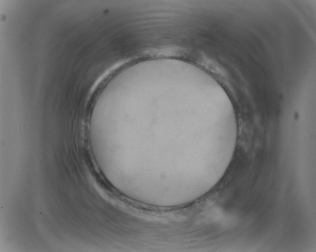 X0000081490012200702021934