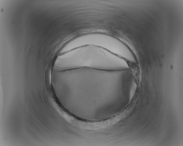 X0000081490013200702021934