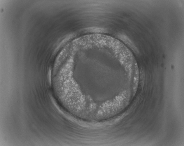 X0000081490014200702021934