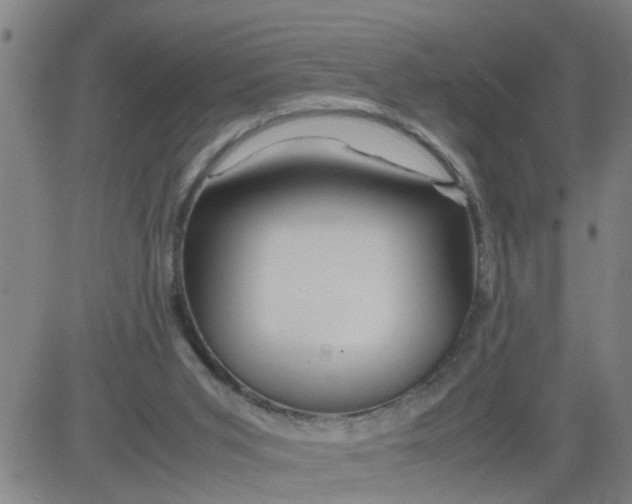 X0000081490015200702021934