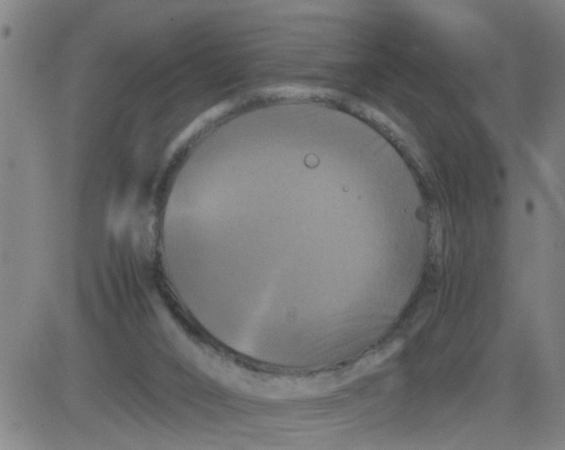 X0000081490016200702021934