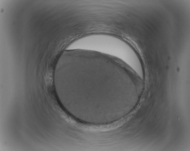 X0000081490017200702021934