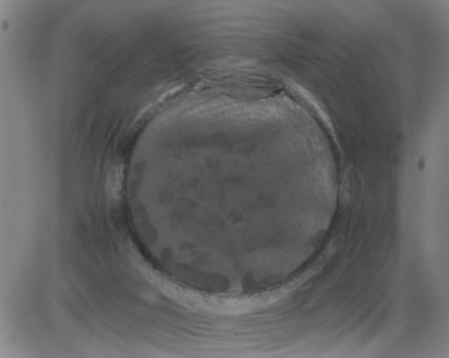 X0000081490018200702021934