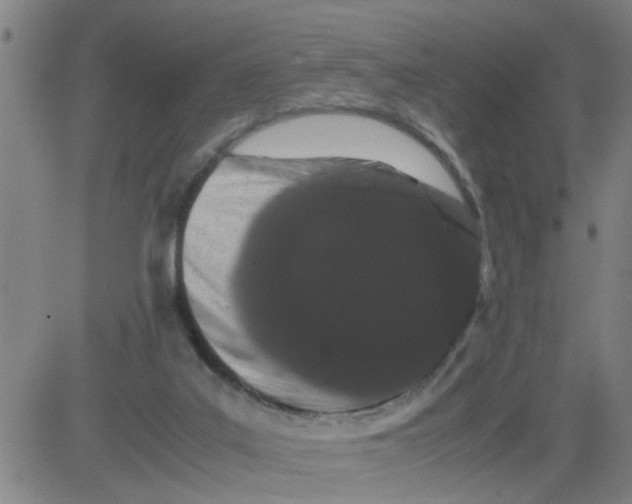 X0000081490019200702021934