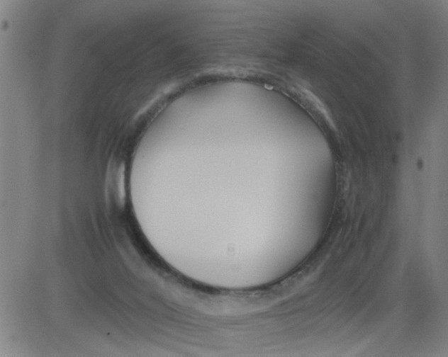 X0000081490020200702021934