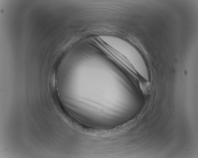 X0000081490021200702021934