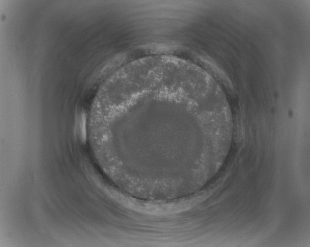 X0000081490022200702021934