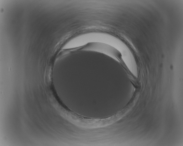 X0000081490023200702021934