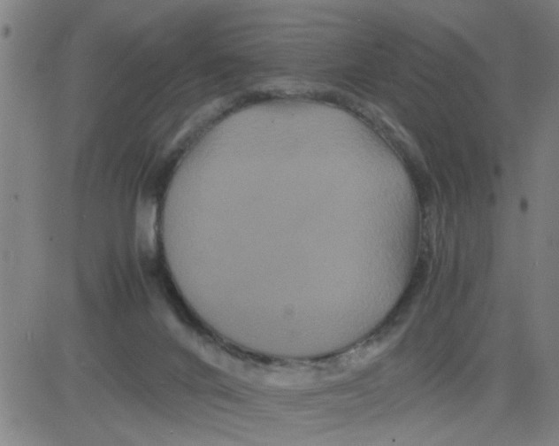 X0000081490024200702021934